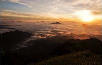 桥头富硒地瓜避坑（桥头地瓜含硒真的高吗）-硒宝网