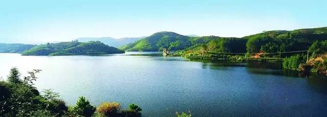 桥头富硒地瓜避坑（桥头地瓜含硒真的高吗）-硒宝网