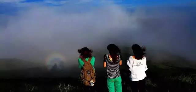 桥头富硒地瓜避坑（桥头地瓜含硒真的高吗）-硒宝网