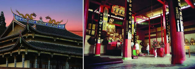 桥头富硒地瓜避坑（桥头地瓜含硒真的高吗）-硒宝网