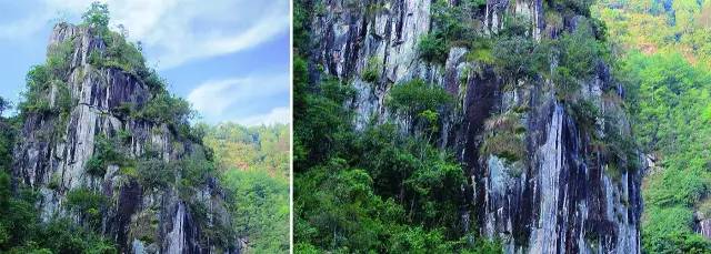 桥头富硒地瓜避坑（桥头地瓜含硒真的高吗）-硒宝网
