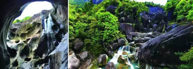 桥头富硒地瓜避坑（桥头地瓜含硒真的高吗）-硒宝网