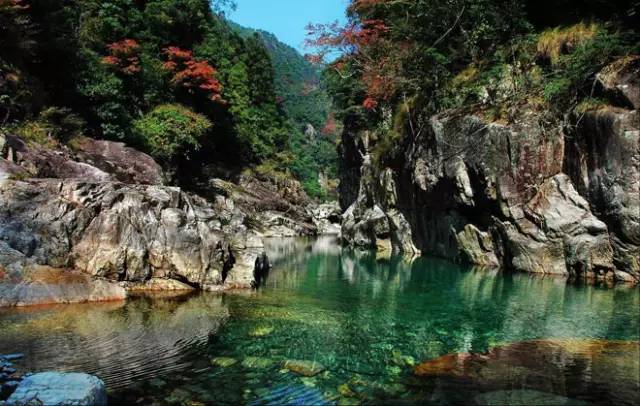 桥头富硒地瓜避坑（桥头地瓜含硒真的高吗）-硒宝网