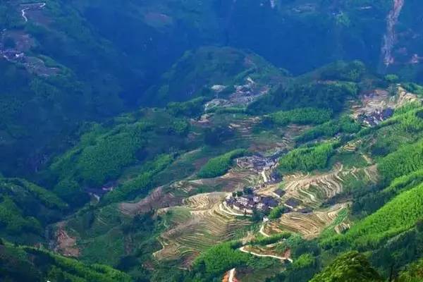 桥头富硒地瓜避坑（桥头地瓜含硒真的高吗）-硒宝网