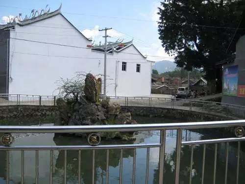 桥头富硒地瓜避坑（桥头地瓜含硒真的高吗）-硒宝网