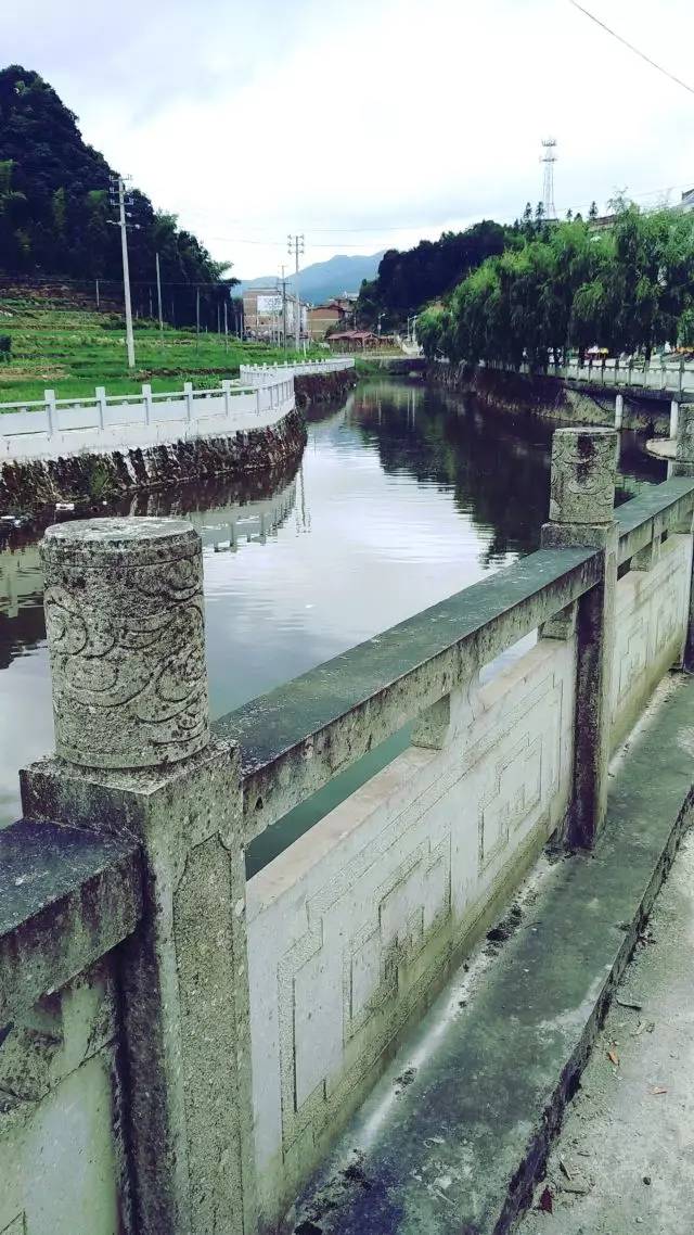 桥头富硒地瓜避坑（桥头地瓜含硒真的高吗）-硒宝网