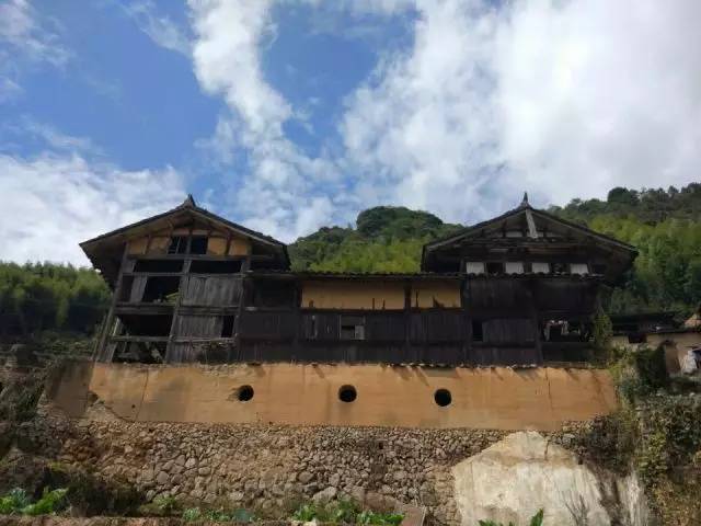 桥头富硒地瓜避坑（桥头地瓜含硒真的高吗）-硒宝网