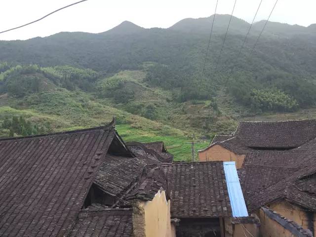 桥头富硒地瓜避坑（桥头地瓜含硒真的高吗）-硒宝网