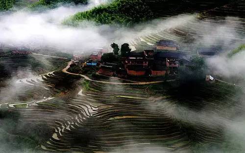 桥头富硒地瓜避坑（桥头地瓜含硒真的高吗）-硒宝网