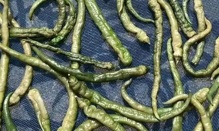 富硒地瓜晒得好处(吃晒的地瓜会胖吗)-硒宝网