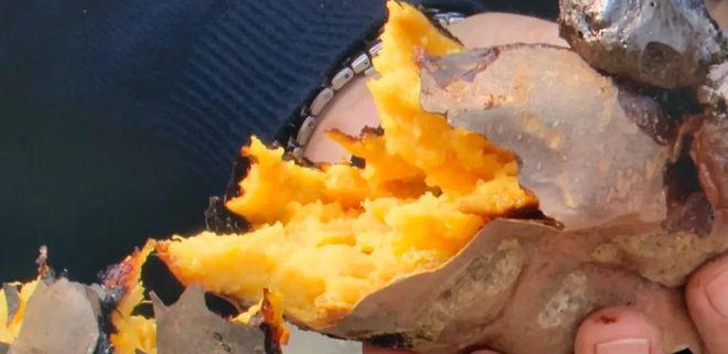 富硒地瓜区别在哪(富硒地瓜和红薯区别)-硒宝网