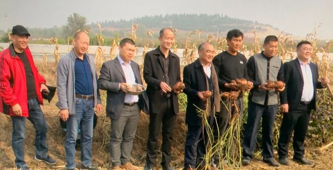 富硒地瓜区别在哪(富硒地瓜和红薯区别)-硒宝网