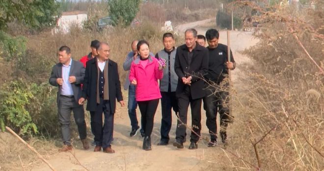 富硒地瓜区别在哪(富硒地瓜和红薯区别)-硒宝网