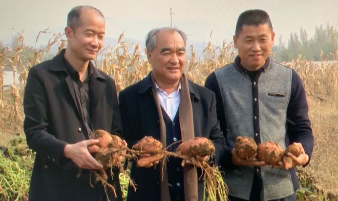 富硒地瓜区别在哪(富硒地瓜和红薯区别)-硒宝网