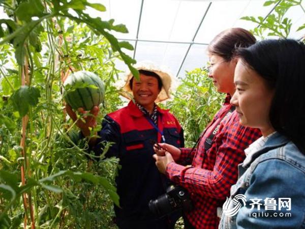 南采富硒沙土地瓜（富硒地瓜多少钱一斤）-硒宝网