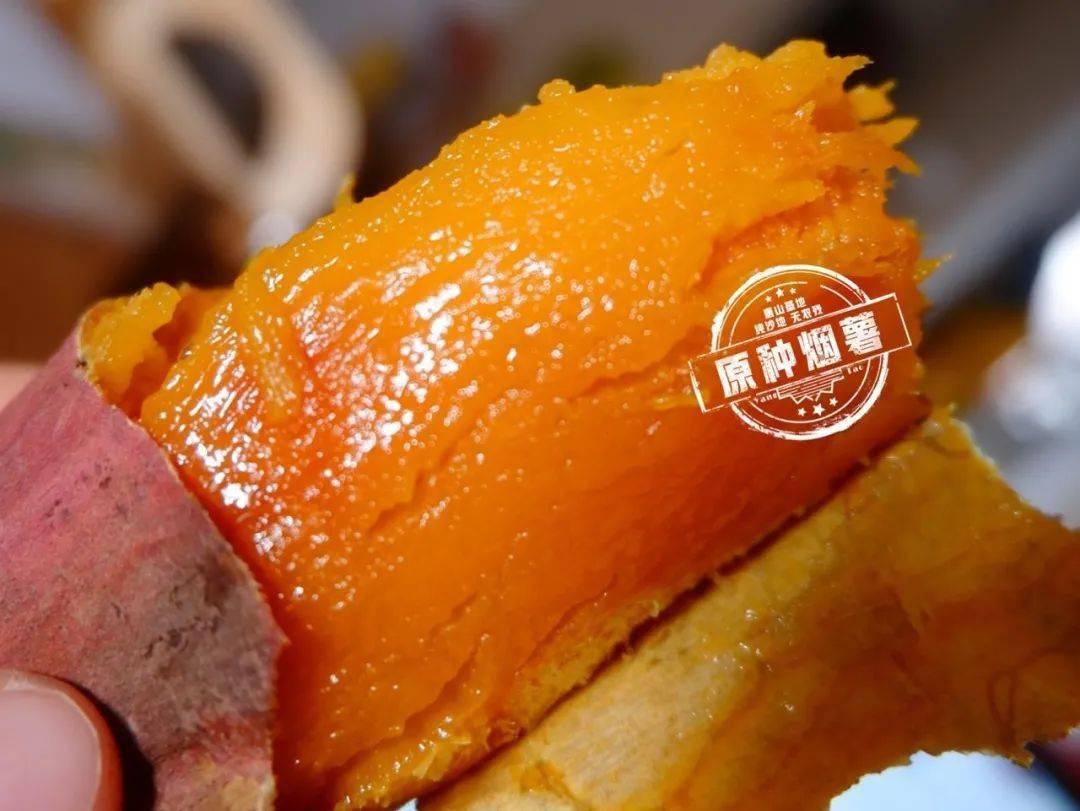 烟薯是富硒地瓜吗(烟薯地瓜富硒是什么东西)-硒宝网