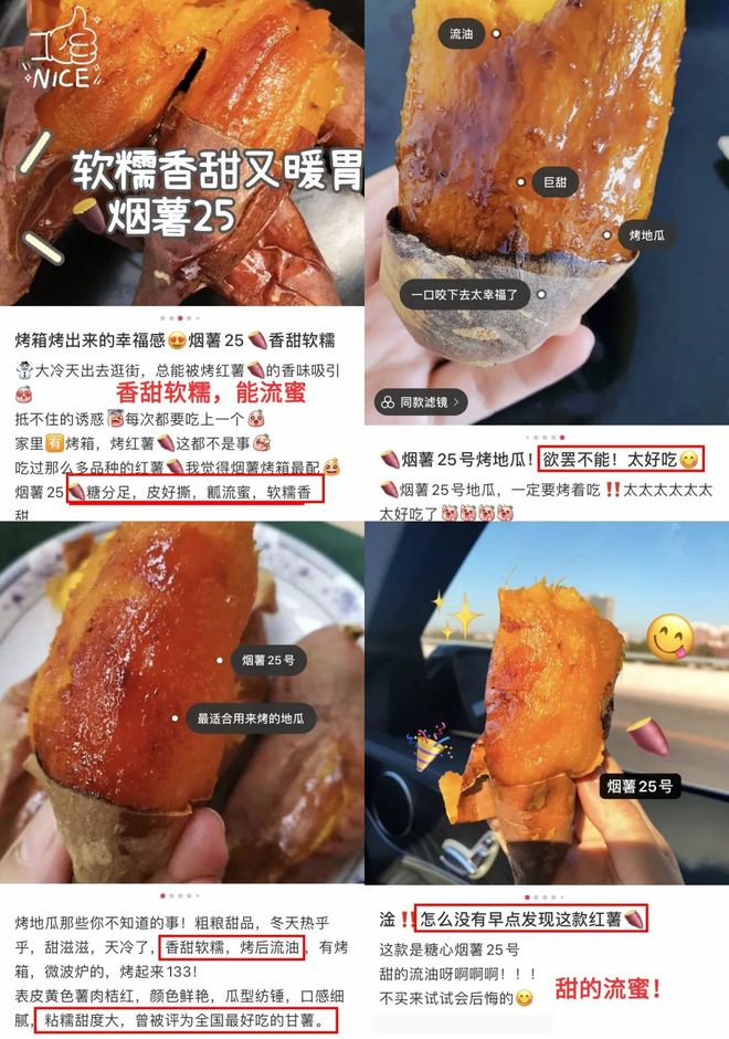 烟薯是富硒地瓜吗(烟薯地瓜富硒是什么品种)-硒宝网