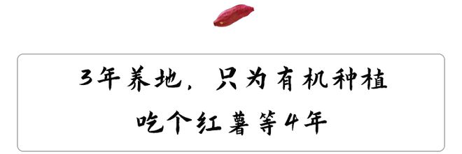 烟薯是富硒地瓜吗(烟薯地瓜富硒是什么品种)-硒宝网