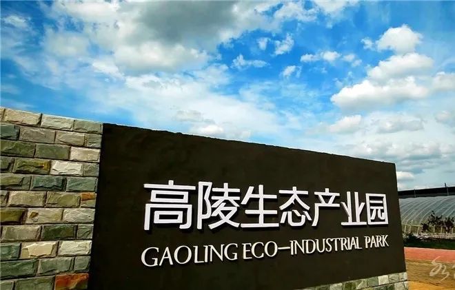 烟薯是富硒地瓜吗(烟薯地瓜富硒是什么品种)-硒宝网