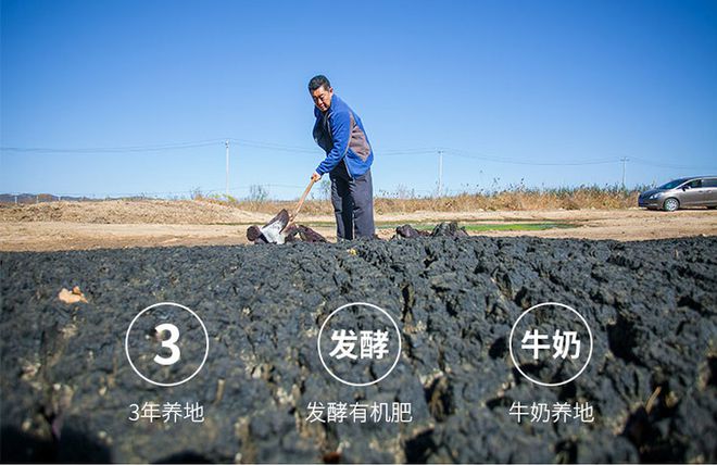 烟薯是富硒地瓜吗(烟薯地瓜富硒是什么品种)-硒宝网