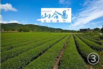 烟薯是富硒地瓜吗(烟薯地瓜富硒是什么品种)-硒宝网