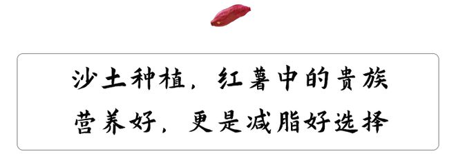 烟薯是富硒地瓜吗(烟薯地瓜富硒是什么品种)-硒宝网