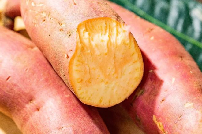 烟薯是富硒地瓜吗(烟薯地瓜富硒是什么品种)-硒宝网