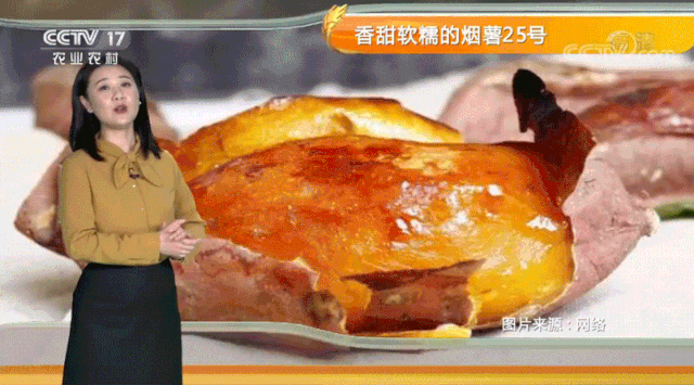 烟薯是富硒地瓜吗(烟薯地瓜富硒是什么品种)-硒宝网