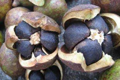 南采富硒沙土地瓜(富硒地瓜怎么吃好吃)-硒宝网