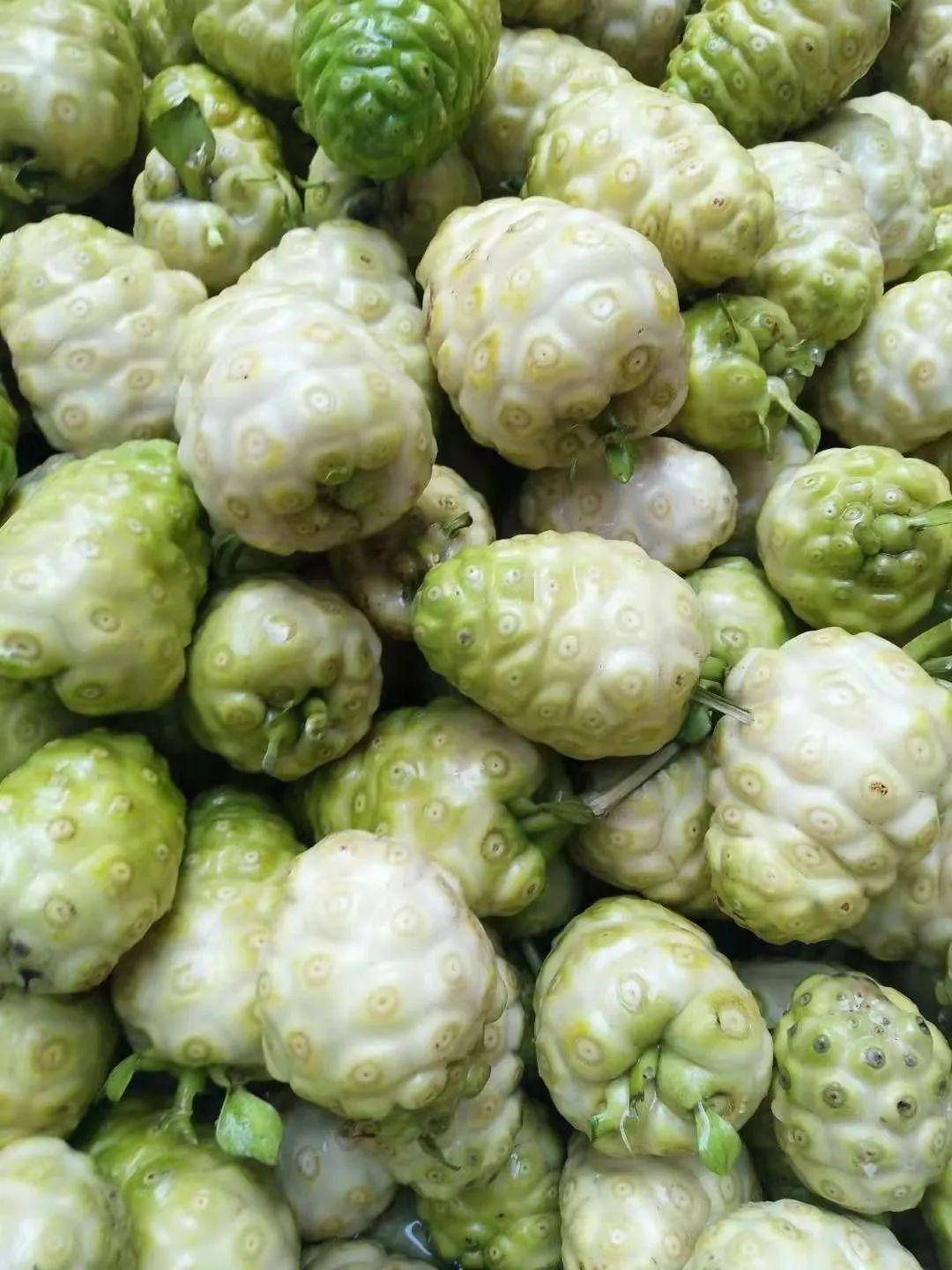 南采富硒沙土地瓜(富硒地瓜怎么吃好吃)-硒宝网