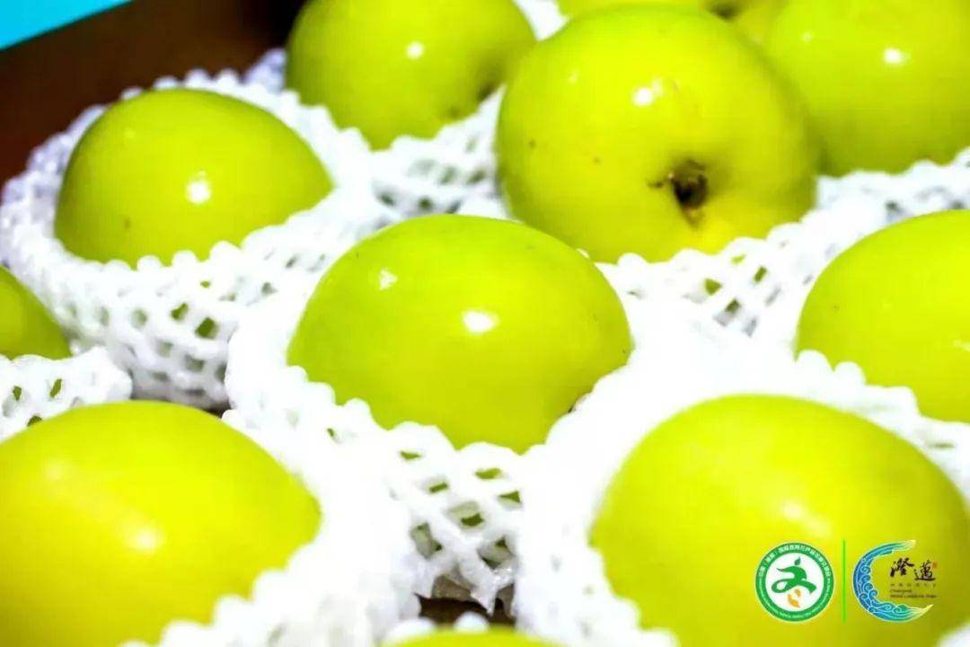 南采富硒沙土地瓜(富硒地瓜怎么吃好吃)-硒宝网