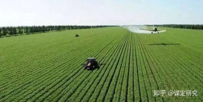 富硒地瓜是哪产的(富硒地瓜产地有哪些)-硒宝网