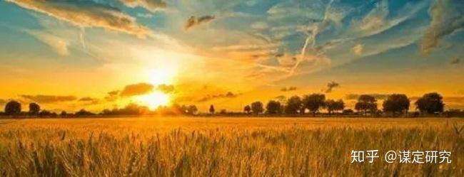 富硒地瓜是哪产的(富硒地瓜产地有哪些)-硒宝网