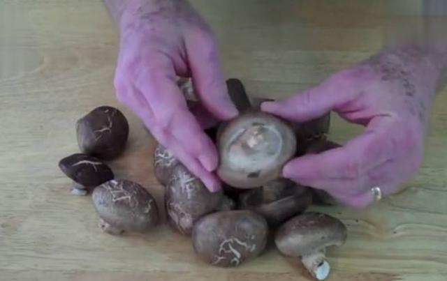 地瓜用富硒叶面肥(地瓜叶富硒用面肥吗)-硒宝网