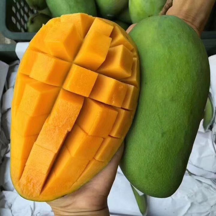 三亚富硒桥头地瓜（三亚桥头地瓜富硒基地地址）-硒宝网