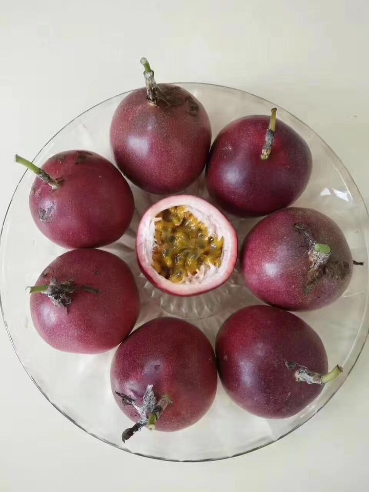 三亚富硒桥头地瓜（三亚桥头地瓜富硒基地地址）-硒宝网