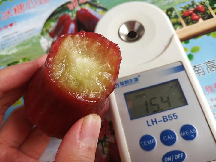 三亚富硒桥头地瓜（三亚桥头地瓜富硒基地地址）-硒宝网