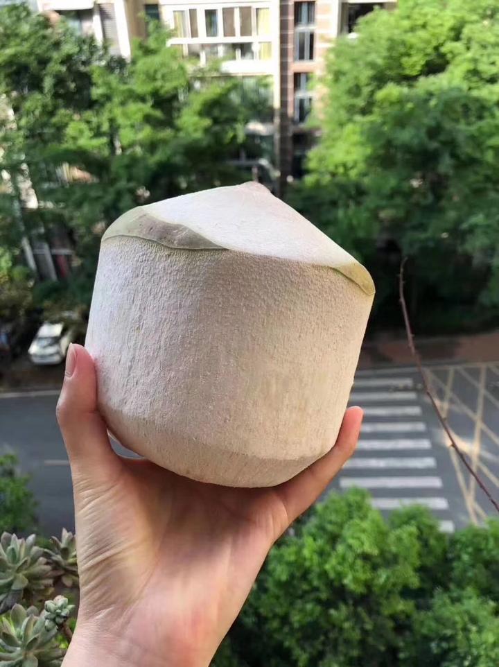 三亚富硒桥头地瓜（三亚桥头地瓜富硒基地地址）-硒宝网