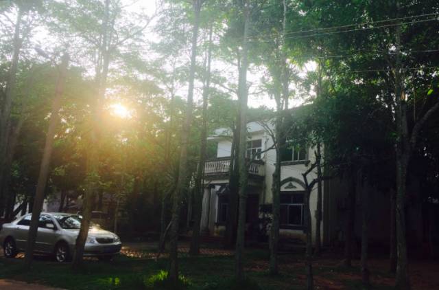 富硒地瓜什么样的（富硒地瓜营养价值）-硒宝网