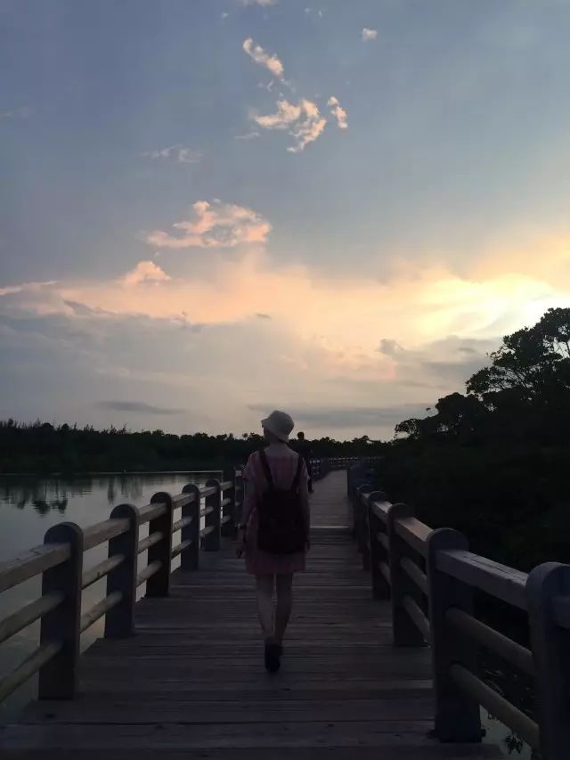 富硒地瓜什么样的（富硒地瓜营养价值）-硒宝网