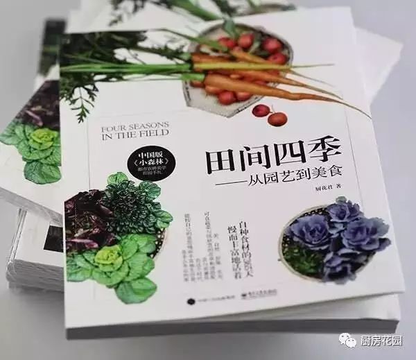 富硒地瓜什么样的（富硒地瓜营养价值）-硒宝网