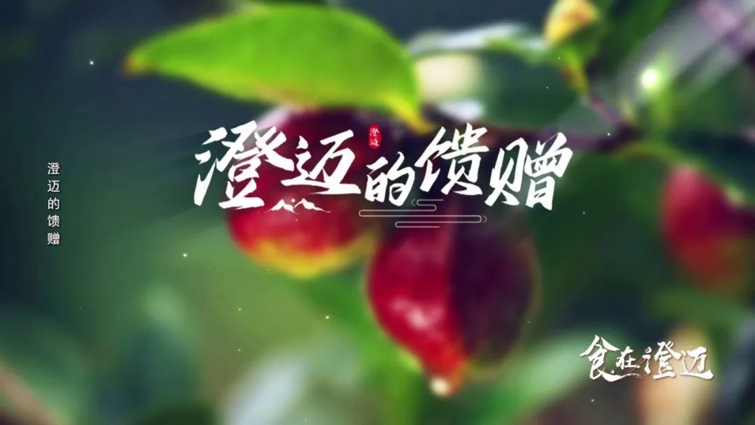 富硒地瓜怎么做汤（汤地瓜富硒做法视频）-硒宝网