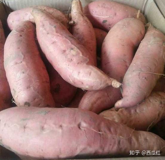 富硒地瓜多钱一斤（富硒地瓜真的含硒吗）-硒宝网