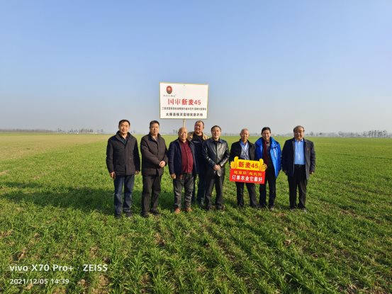 袁氏向山富硒面粉(袁氏肥料质量怎么样)-硒宝网