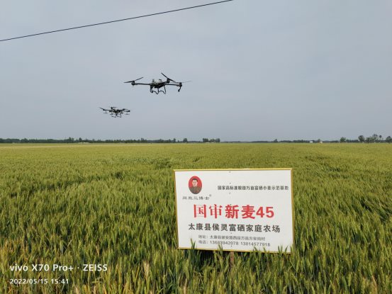 袁氏向山富硒面粉(袁氏肥料质量怎么样)-硒宝网