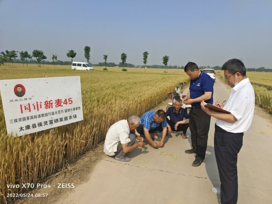 袁氏向山富硒面粉(袁氏肥料质量怎么样)-硒宝网
