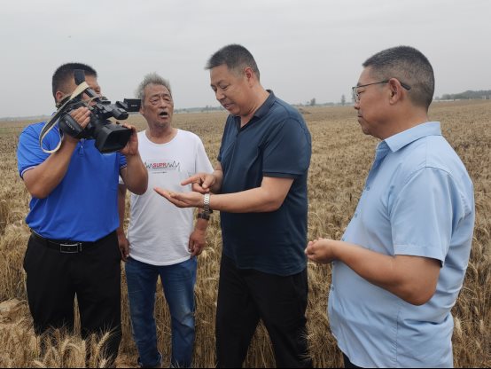 袁氏向山富硒面粉(袁氏肥料质量怎么样)-硒宝网