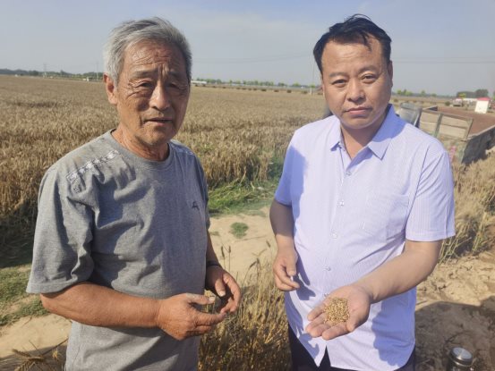 袁氏向山富硒面粉(袁氏肥料质量怎么样)-硒宝网