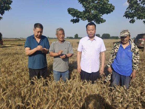 袁氏向山富硒面粉(袁氏肥料质量怎么样)-硒宝网