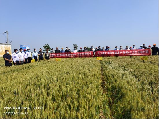 袁氏向山富硒面粉(袁氏肥料质量怎么样)-硒宝网